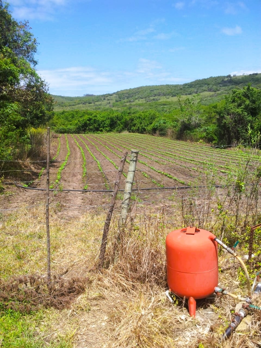 Commercial Property for Sale in Cintsa East Eastern Cape